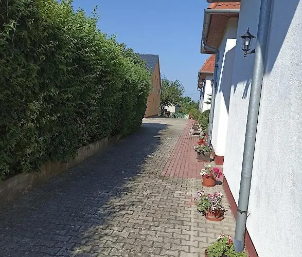 Mokus